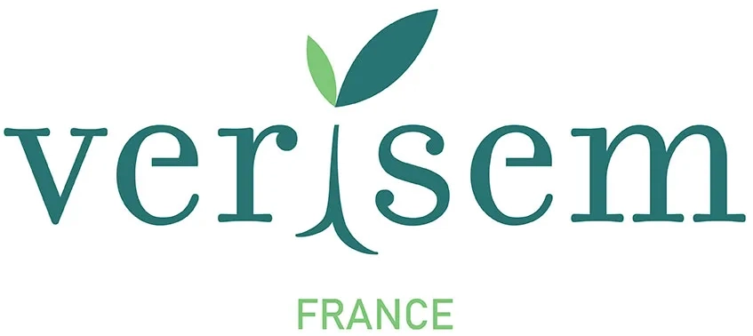 Verisem France logo