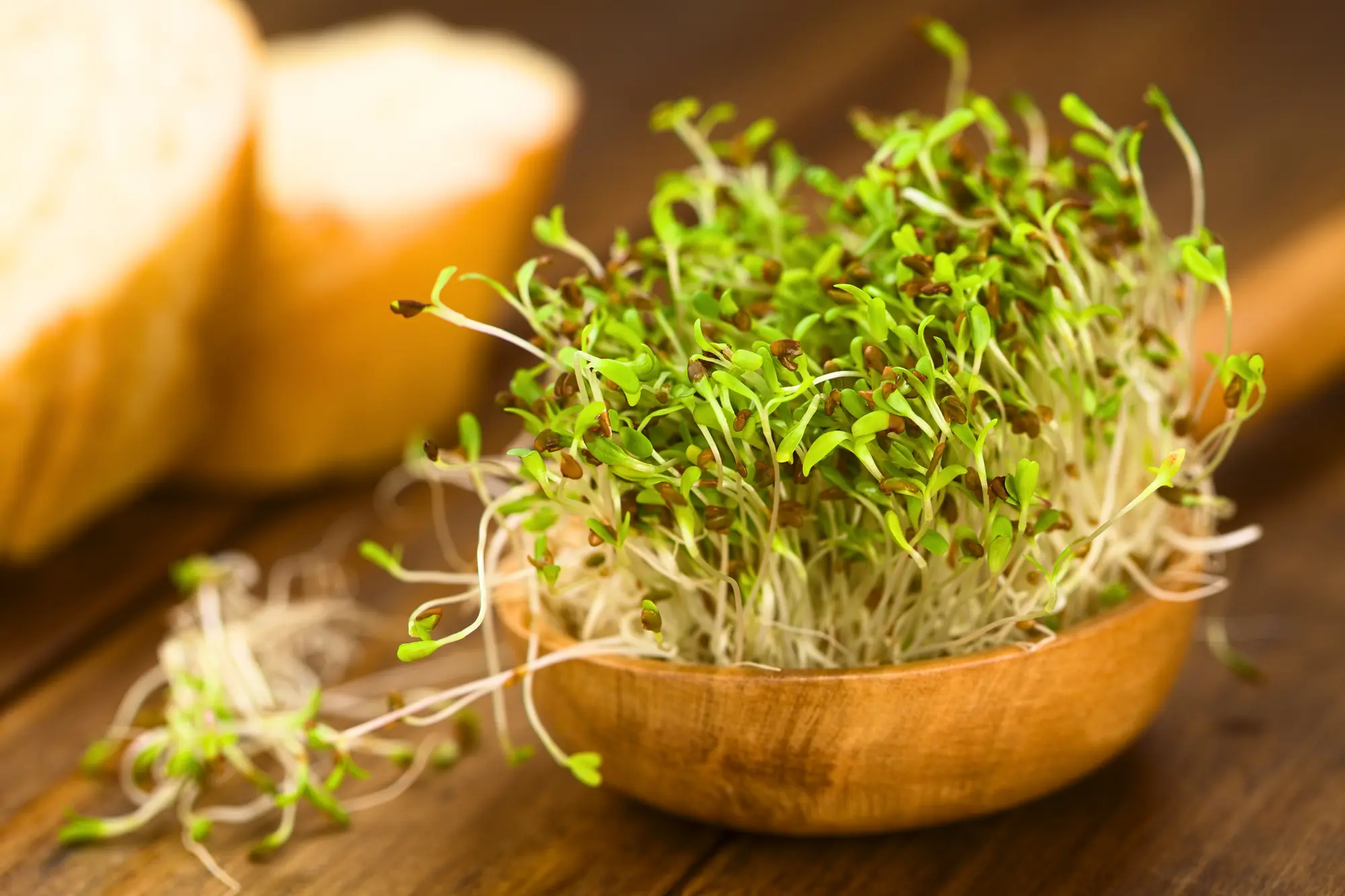 Sprouts & Microgreens image